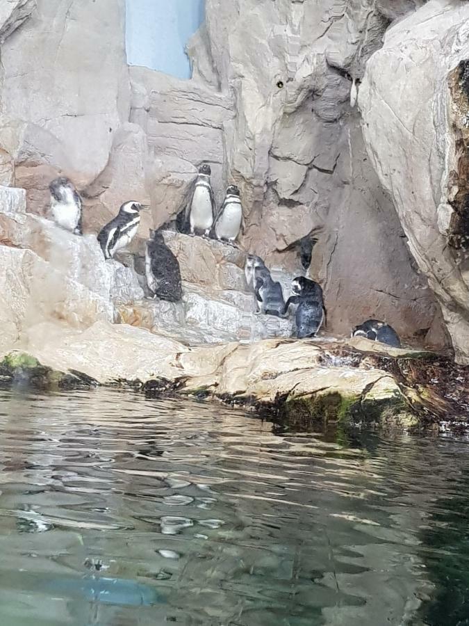 Al Borgo Di Priaruggia Villa Genua Buitenkant foto